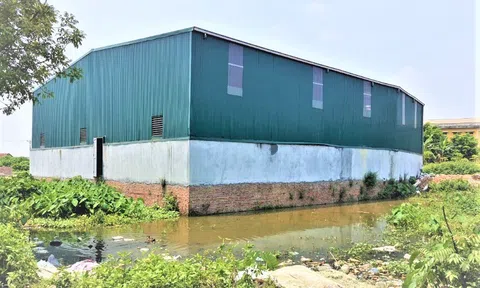 Loạt nhà xưởng xây dựng kiên cố trên đất nông nghiệp, UBND huyện Hoài Đức "né" câu trả lời?