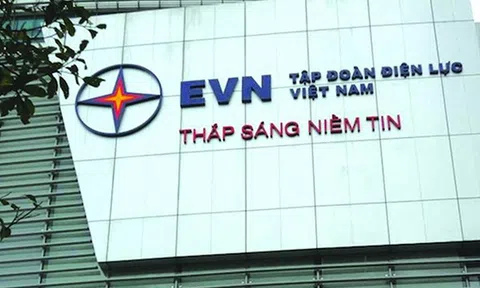 Tập đoàn điện lực Việt Nam (EVN) bị “điểm tên” vì nợ đóng bảo hiểm xã hội hơn 1,6 tỷ đồng