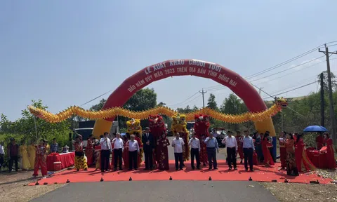 Năm 2023 tỉnh Đồng Nai dự kiến sẽ xuất khẩu 500 tấn chuối tươi ra thị trường nước ngoài