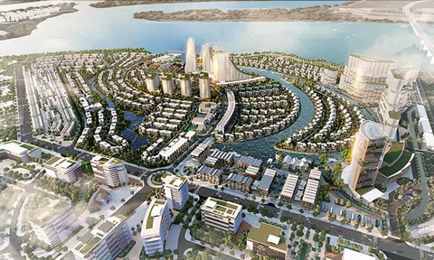 DIC Group lý giải về Quyết định thanh tra toàn diện việc cổ phần hóa và thoái vốn của Thanh tra Chính phủ.