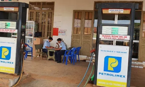 Xử phạt 15 triệu đồng Công ty TNHH MTV thương mại và dịch vụ KP  