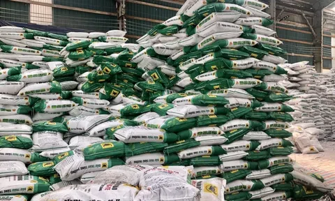 Công ty cổ phần tập đoàn dinh dưỡng Miền Bắc bị xử phạt vi phạm hành chính 80 triệu đồng