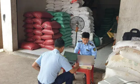 Bến Tre tạm giữ 52 tấn gạo nhập khẩu không có nhãn phụ bằng tiếng Việt Nam