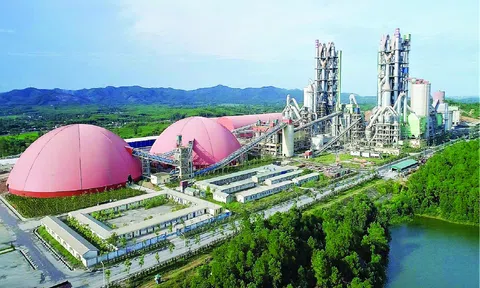 Công ty Cổ phần Vissai Ninh Bình bị xử phạt vi phạm hành chính 85 triệu đồng