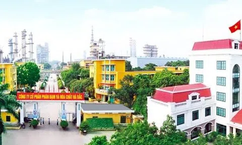 Quý II/2023 Công ty CP Phân đạm và Hóa chất Hà Bắc lỗ hơn 350 tỷ đồng