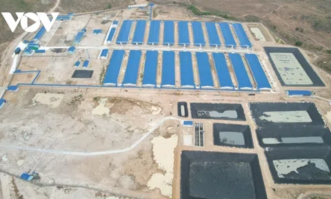 Gia Lai: Doanh nghiệp nuôi heo bị phạt 320 triệu đồng vì không có giấy phép môi trường