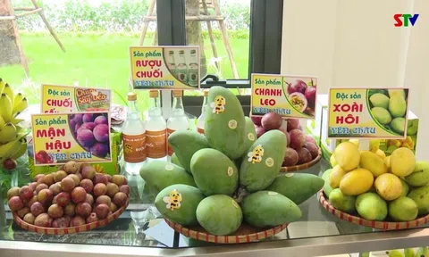 Hơn 500 tấn trái cây của nông dân Sơn La được tiêu thụ qua sàn thương mại điện tử