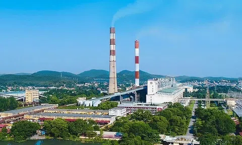 Cty CP Nhiệt điện Phả Lại (PPC) bị xử phạt hơn 3,9 tỷ đồng và đình chỉ hoạt động 12 tháng