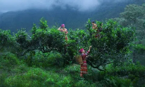 Yên Bái: Đầu tư phát triển du lịch gắn với làng nghề, nghề truyền thống