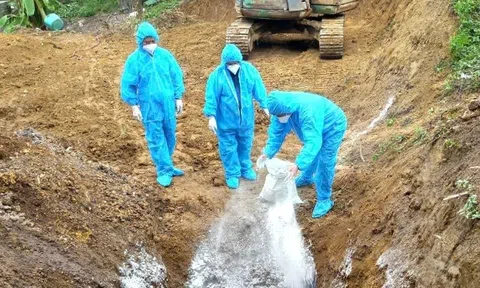 Kiểm soát dịch bệnh là yếu tố then chốt giúp ngành chăn nuôi đạt mục tiêu tăng trưởng