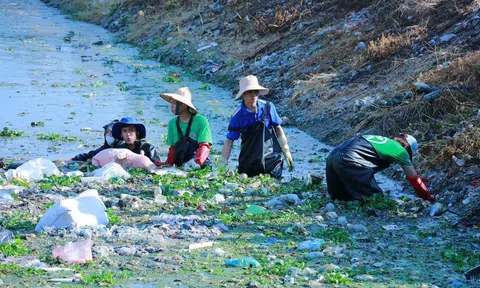 Hà Nội Xanh – Lan tỏa tình yêu môi trường từ những việc làm giản dị