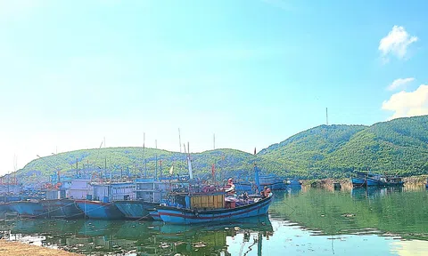 Quảng Ngãi khẩn trương khắc phục các tồn tại, hạn chế về chống khai thác IUU