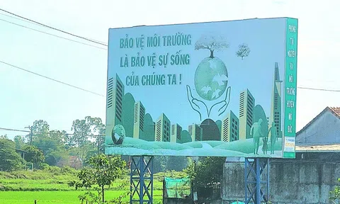 Quảng Ngãi phấn đấu, cải thiện và nâng hạng Chỉ số Xanh cấp tỉnh (PGI)