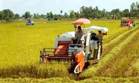 Dấu ấn ngành nông nghiệp Quảng Ngãi sau 35 năm tái lập tỉnh