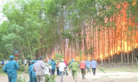 Quảng Ngãi tăng cường công tác phòng cháy, chữa cháy rừng vào mùa khô