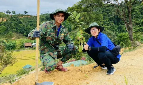 Kon Tum trồng mới 291.000 cây xanh sát biên giới
