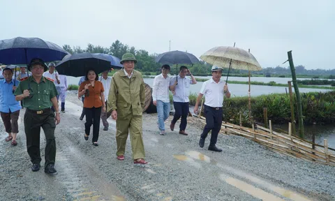 Bí thư tỉnh Quảng Nam kiểm tra tiến độ dự án liên kết vùng miền Trung