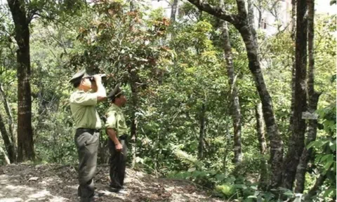 Giữ rừng cùng người dân để kinh tế xã hội ngày càng phát triển