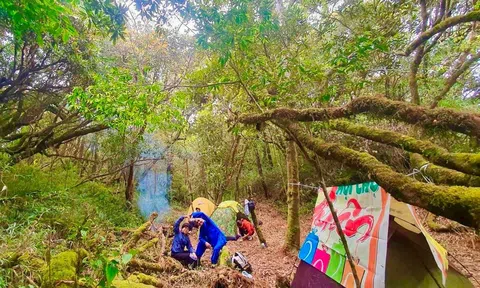 Triển khai đề án phát triển giá trị đa dụng của hệ sinh thái rừng