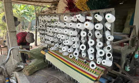 Sắc màu chiếu cói Hoài Nhơn