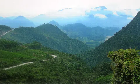 Nam Giang tăng cường biện pháp phòng chống cháy rừng