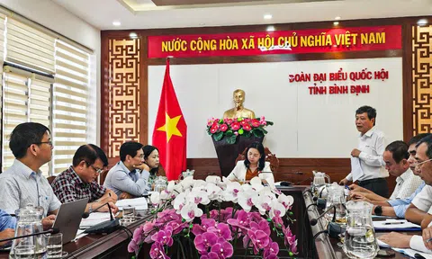 Điện lực Bình Định đồng hành cùng khách hàng trên mọi nẻo đường