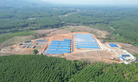 Khánh thành trại heo thịt công nghệ cao, quy mô 75.000 con/năm, tổng vốn đầu tư 180 tỷ đồng tại Kon Tum