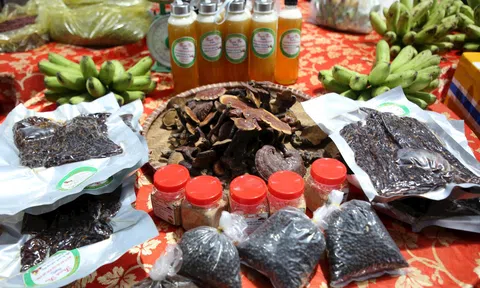 Đưa nông sản Nam Giang đến gần hơn với du khách