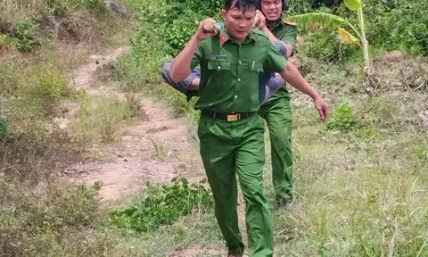 Lực lượng cảnh sát kịp thời cứu hai người đàn ông bị ong rừng tấn công nguy kịch