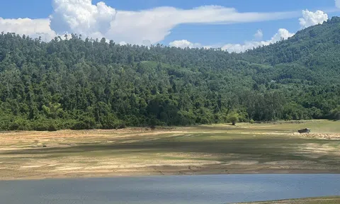 Tích nước ở hồ thủy lợi lớn nhất Bình Định để cấp cho người dân