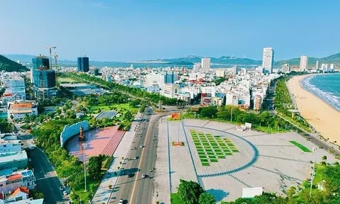 Bình Định huy động hơn 900 tỷ đồng phát triển hệ thống cây xanh đô thị