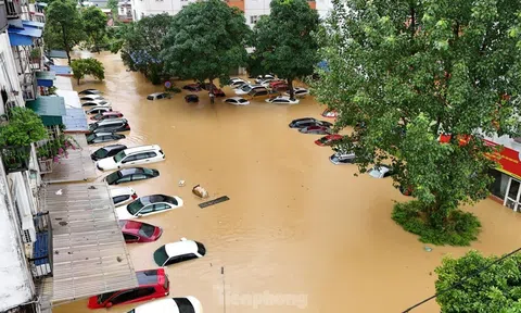 Quảng Ngãi hỗ trợ 10 tỉ đồng cho các tỉnh miền Bắc bị thiệt hại do bão, lũ