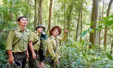 Bảo vệ màu xanh đại ngàn- Chuyện ở vùng giáp ranh