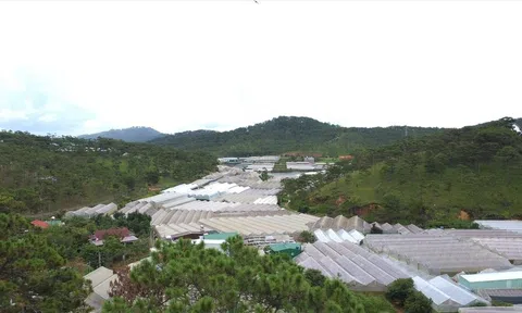 Tỉnh Lâm Đồng: Ban hành quy định về xây dựng công trình trên đất nông nghiệp