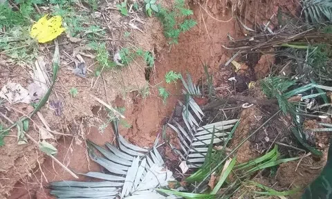 Vết nứt dài ở đồi đe dọa nhà dân, Quảng Nam công bố tình huống khẩn cấp