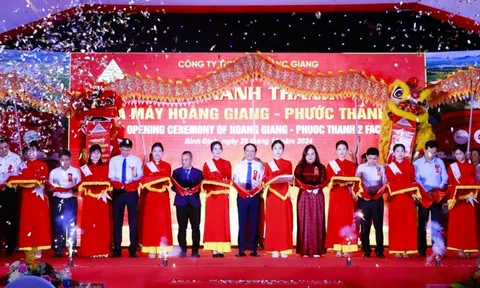 Khánh thành Nhà máy sản xuất sản phẩm đan nhựa giả mây và hoàn thiện sản phẩm gỗ nội thất ở Bình Định