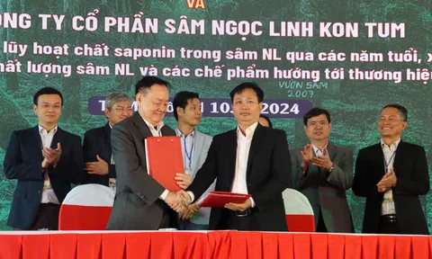 Hội thảo Phát triển và Bảo tồn quốc bảo Sâm Ngọc Linh: Giá trị Thương hiệu và Định hướng tương lai