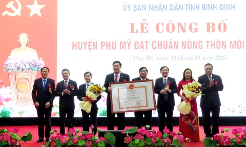 Phó thủ tướng Hồ Đức Phớc dự lễ công nhận huyện Phù Mỹ đạt chuẩn nông thôn mới