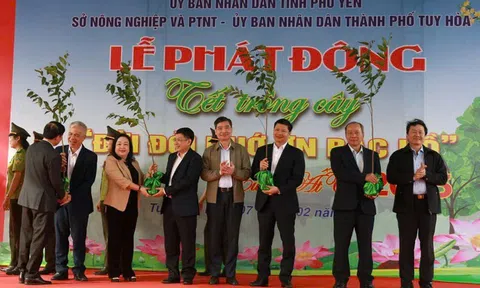 Phú Yên: Phấn đấu trồng 1 triệu cây xanh trong năm 2025