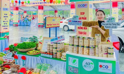 Quảng Nam miễn phí trưng bày giới thiệu sản phẩm chào mừng 50 năm giải phóng quê hương