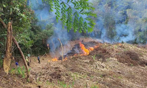 Gia Lai: Ban quản lý rừng phòng hộ Chư Mố triển khai phòng cháy, chữa cháy rừng mùa khô 2024-2025