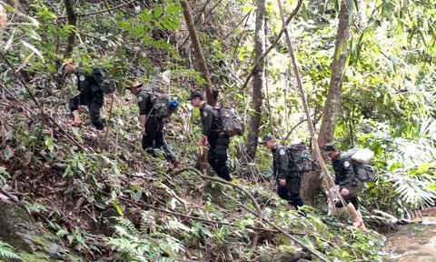 Bảo tồn hệ sinh học động vật hoang dã tại khu bảo tồn Sao La (Quảng Nam) - Bài 3: Chính sách PFES động lực bảo vệ rừng và sinh kế bền vững