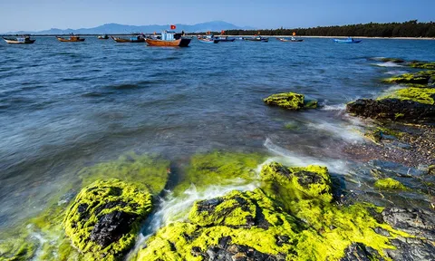 Quảng Nam lan tỏa tinh thần hành động vì biển xanh