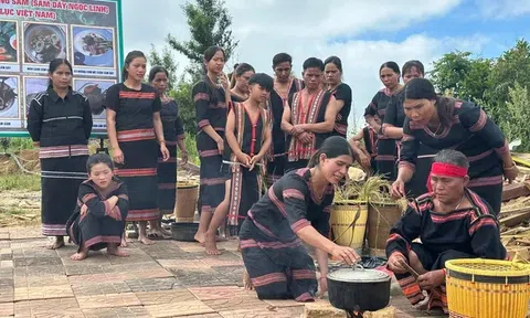 Kon Tum: Khai mạc phiên chợ sâm Ngọc Linh, dược liệu