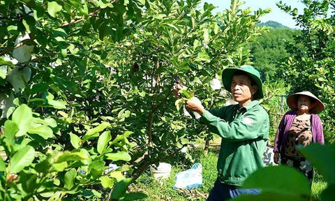 Đà Nẵng: Đảng bộ xã Sơn Cẩm Hà, một lòng vì dân, quyết tâm đổi mới