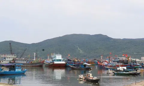 Đà Nẵng quyết liệt chống khai thác IUU, hướng đến nghề cá bền vững