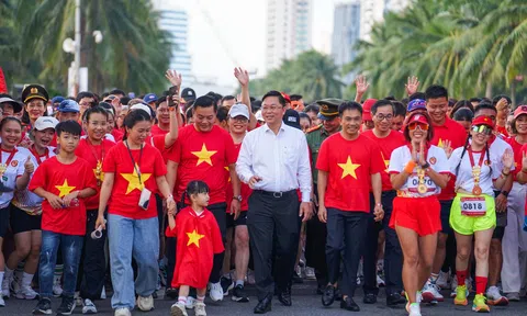 Hơn 33.000 người Đà Nẵng tham gia chương trình đi bộ “Cùng Việt Nam tiến bước”