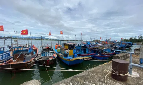 Quảng Ngãi chủ động ứng phó với bão số 5 trên Biển Đông