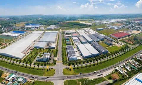 Quảng Ngãi trên hành trình chuyển đổi xanh: Quy hoạch cho tương lai bền vững