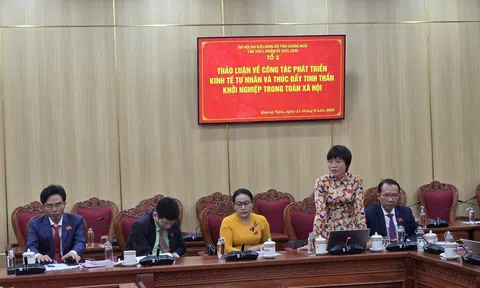 Quảng Ngãi bàn giải pháp thúc đẩy kinh tế tư nhân và xây dựng hệ sinh thái khởi nghiệp